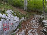 Stara Fužina - Planina pod Mišelj vrhom